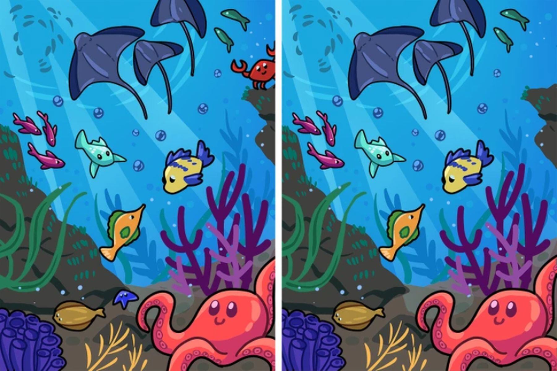 ACERTIJO VISUAL | Estas imágenes de animales acuáticos parecen idénticas, pero no son iguales. Poseen 2 diferencias. (Foto: genial.guru)