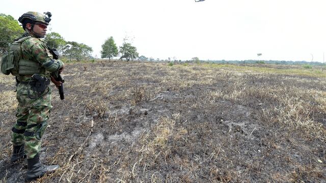 Deforestación en Colombia: gobierno insiste en operaciones militares sin llegar a los principales responsables