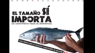 “El tamaño sí importa”, la guía básica para consumo de pescado que se reparte en Mistura