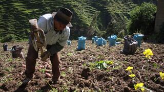 AGAP exige al Ejecutivo nombrar un ministro de Agricultura que ayude a enfrentar crisis alimentaria