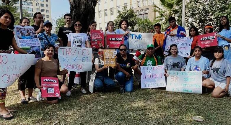 En el 2023, COLPA y diversos colectivos animalistas manifestaron que la propuesta de reglamento realizada por el MINSA desnaturalizaba el espíritu de la ‘Ley 4 Patas’. Tras esto, la propuesta fue revisada.