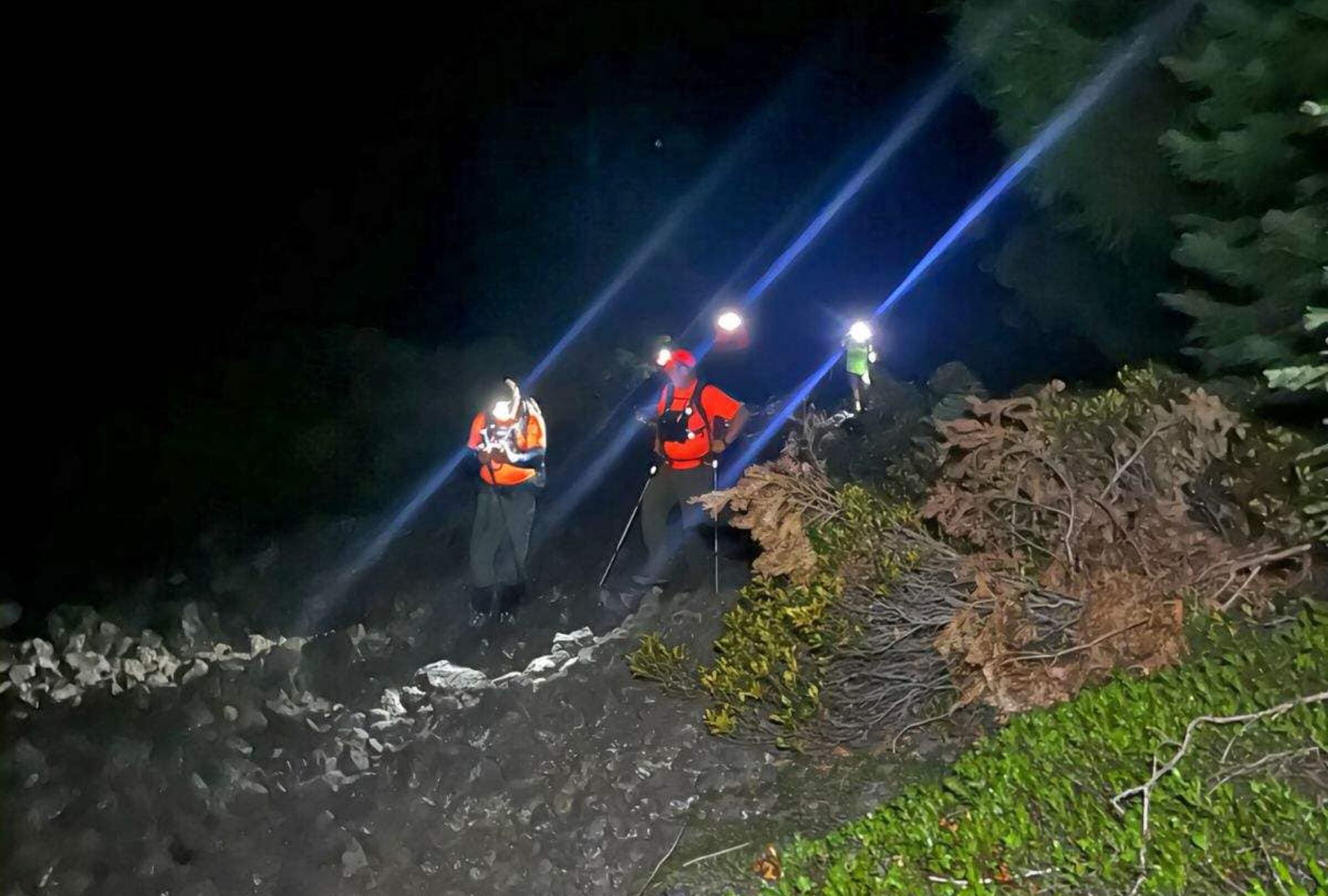 Esta imagen muestra al equipo que buscó al hombre que hizo una excursión. (Foto: Jackson County Sheriff Oregon / Facebook)