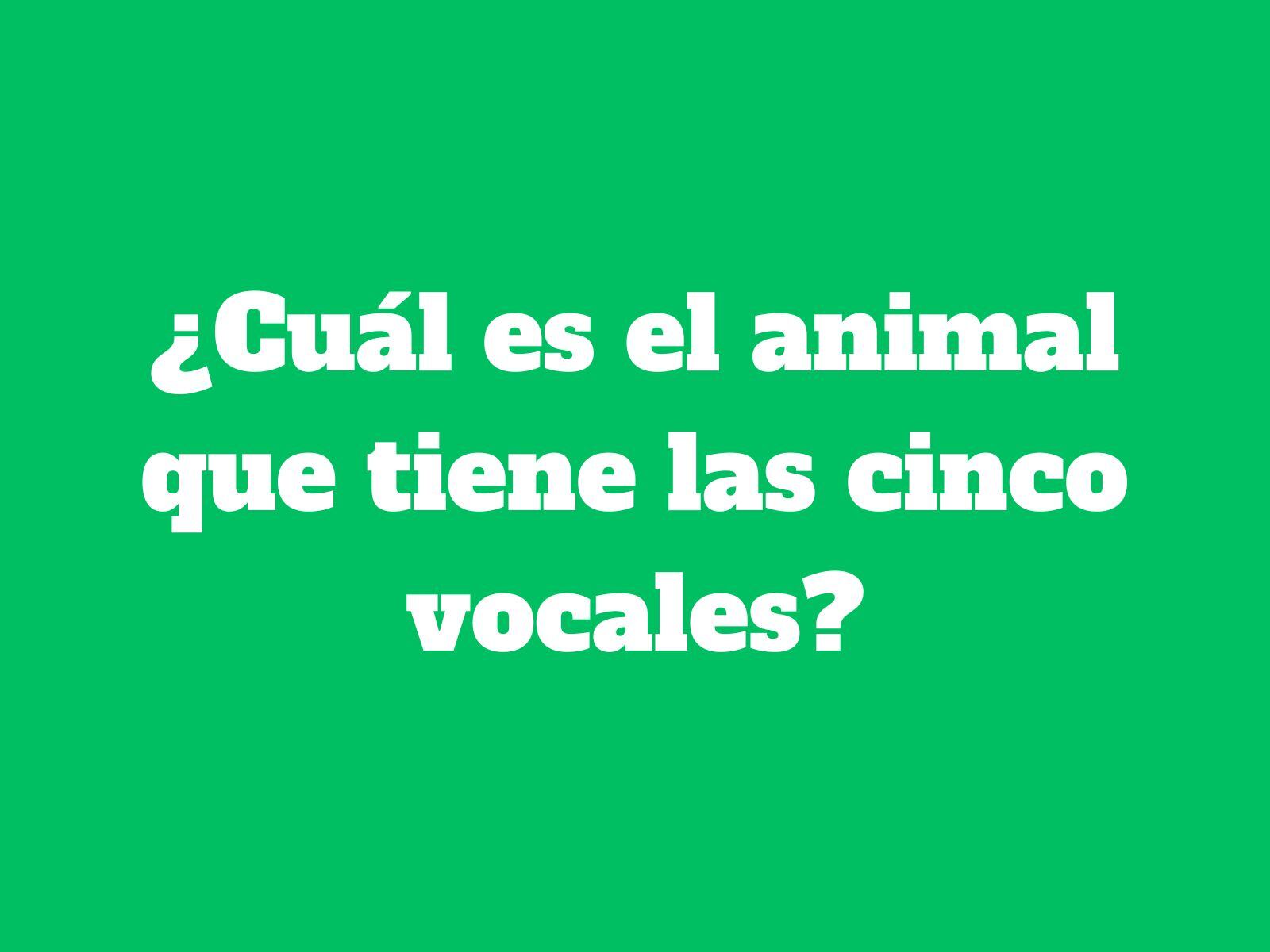 Acertijo mental: Permite que tu cerebro y sea capaz de descifrar esta intrigante adivinanza. (Creación: Mag)