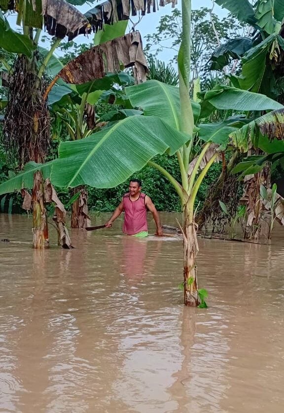El nivel de las aguas en los campos de cultivos inundados en Purús llega, en algunos casos, hasta la cintura de las personas. Foto: cortesía Feconapu / ORAU