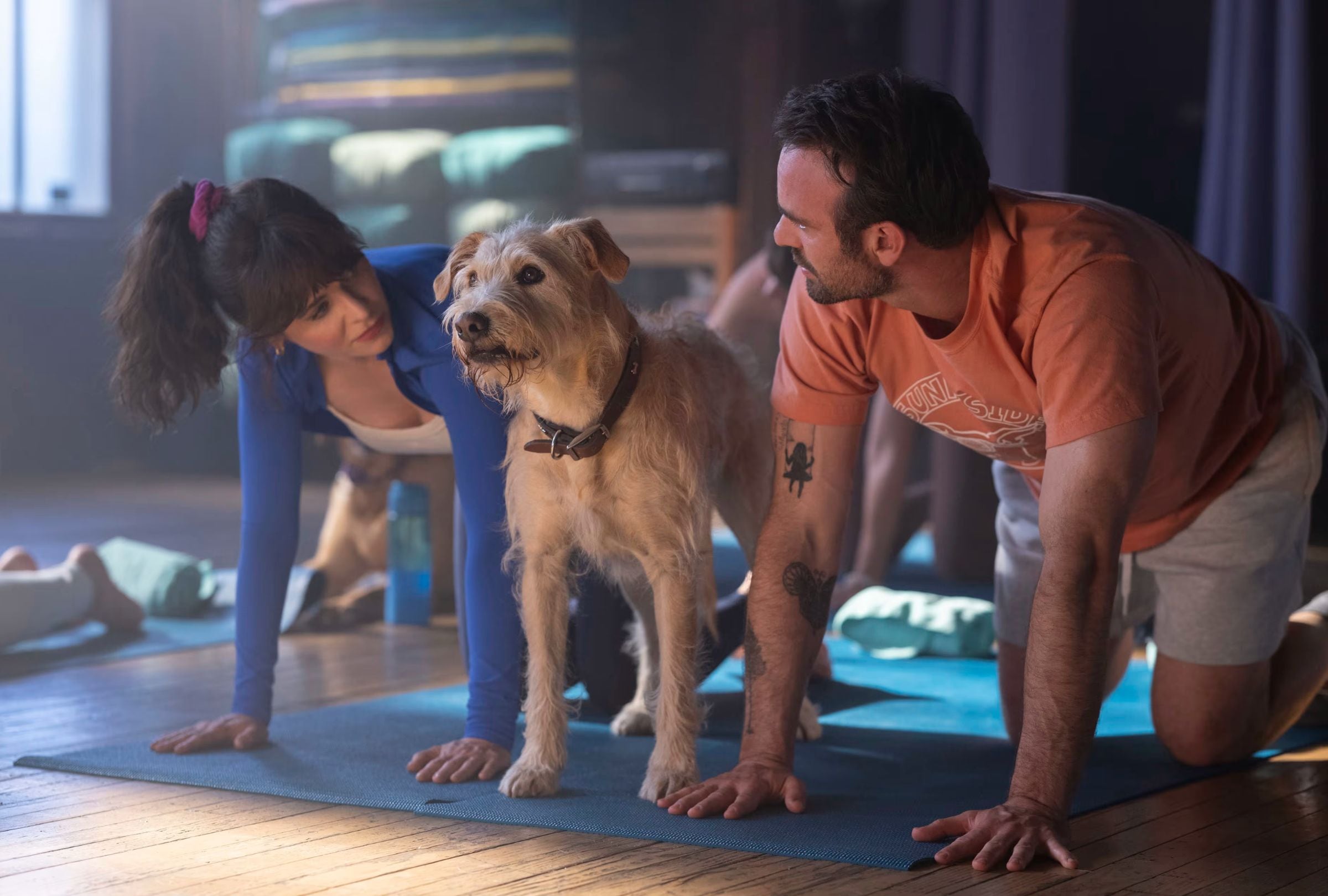 En la película "Merv", lo que comienza como un viaje por salvar a su mascota evoluciona en una oportunidad de reconexión personal (Foto: Amazon MGM Studios)