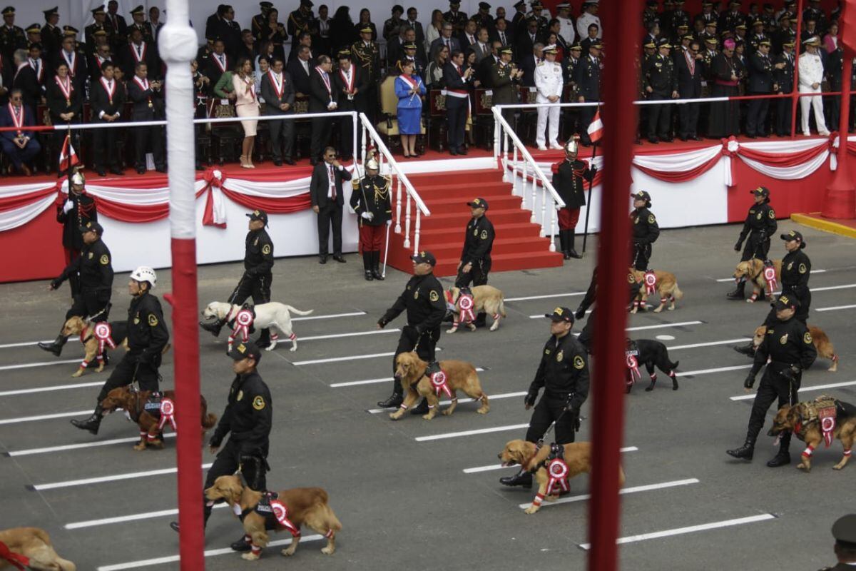 La PNP tiene una Unidad Canina, en la que se adiestran a perros para que acompañen a los efectivos en diversas tareas para el beneficio de la población. Foto: GEC