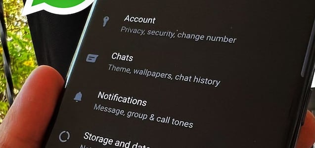 WhatsApp en inglés: la solución para que esté en español