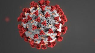 COVID-19 e invierno | ¿La transmisión del nuevo coronavirus depende de las estaciones?