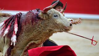 El lugar de España donde no habrá sangre ni muerte en las corridas de toros