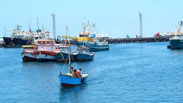 Suspenden la pesca de anchoveta por cinco días