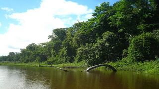 Reserva Nacional de Tambopata: cómo llegar y qué hacer en la reserva natural
