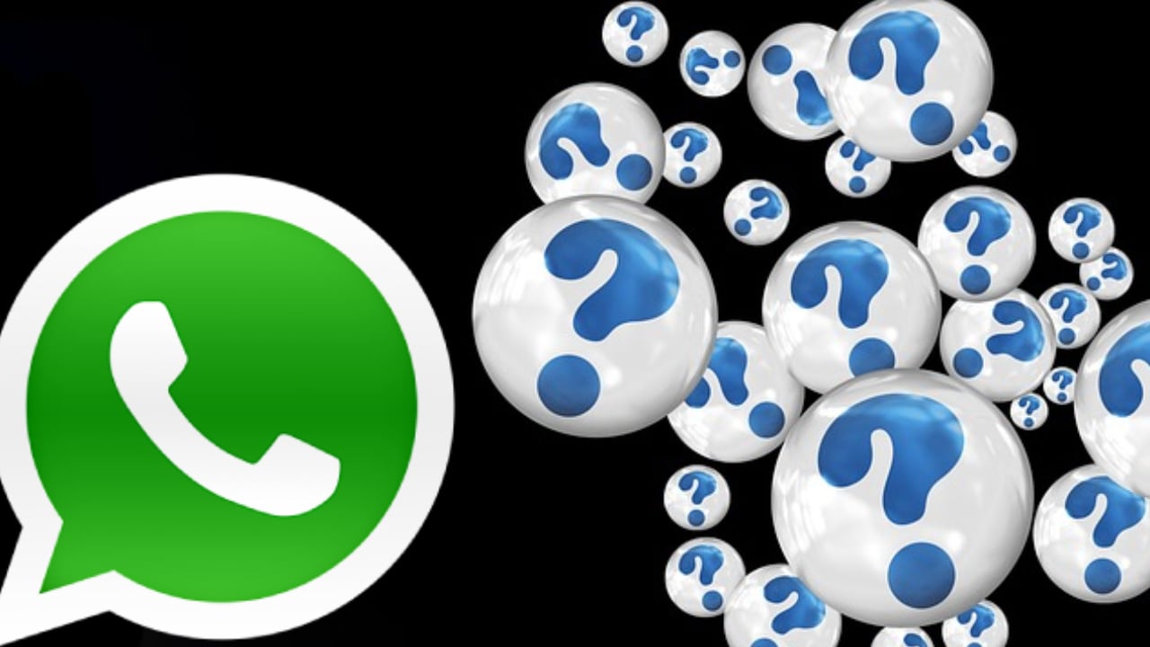 WHATSAPP | Así no será necesario pagar la suscripción de NGL. (Foto: Mag)