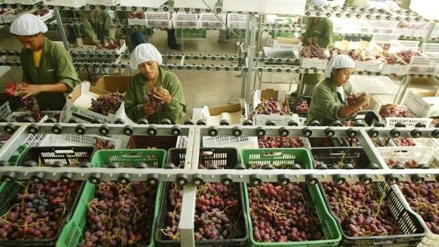 Agroexportaciones peruanas mostraron crecimiento de 8,7% en primer trimestre del año