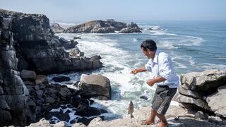 Cerro Azul: cómo la pesca de chita ha convertido a este balneario en epicentro gastronómico