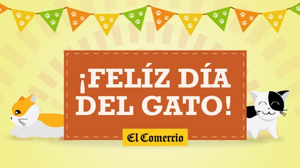 Estas son algunas imágenes por el Día Internacional del Gato. (Foto: Twitter)