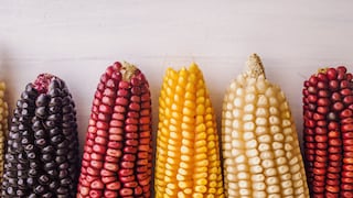 El maíz: un alimento milenario