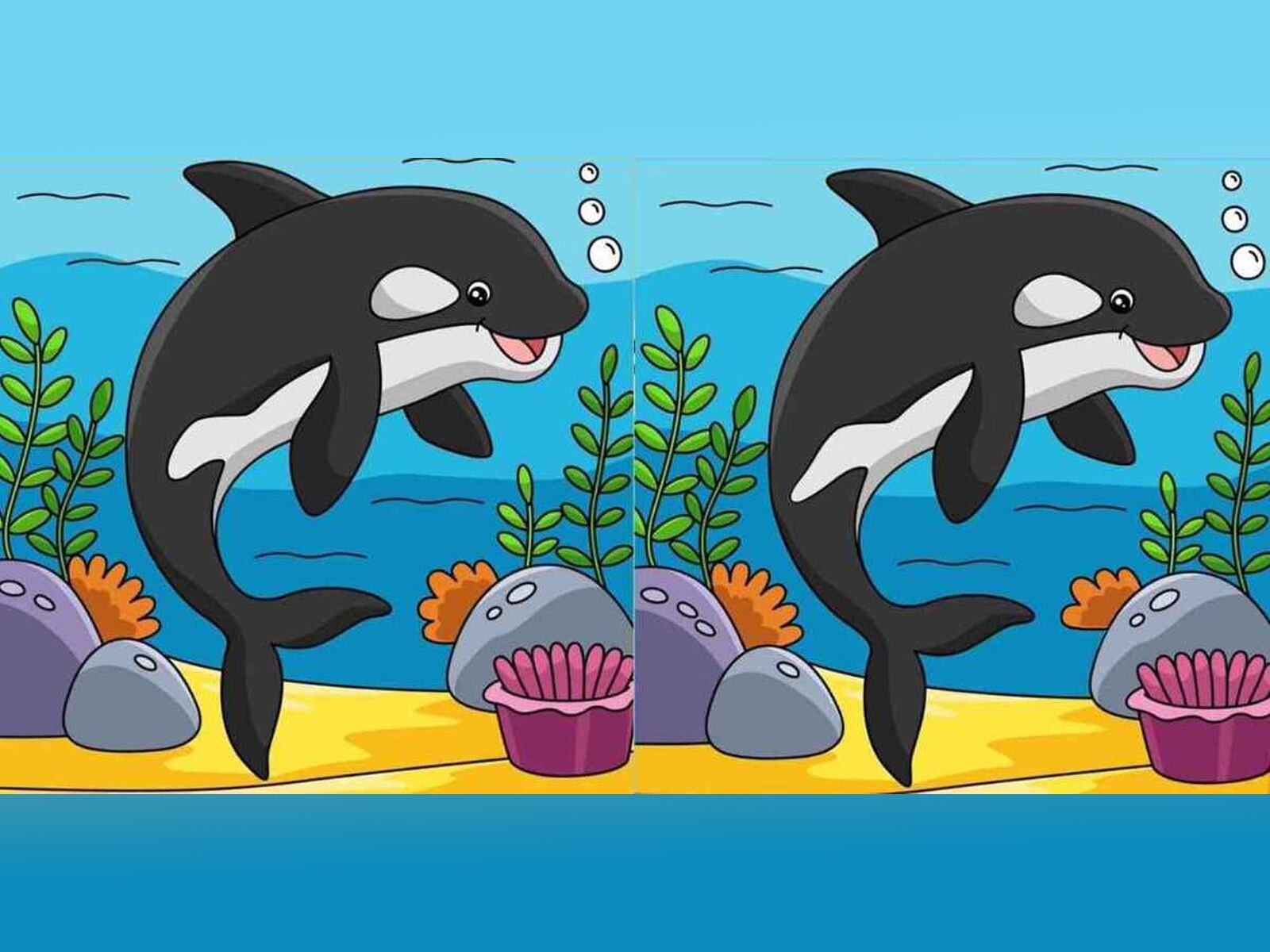 Observa atentamente las dos imágenes de ballenas a continuación y encuentra las 3 sutiles diferencias en solo 19 segundos.