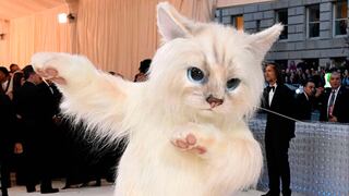 Choupette: ¿quién es la gata protagonista de la Met Gala 2023?