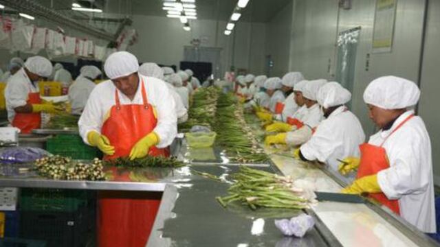 Valor de las agroexportaciones caerían por primera vez en 14 años