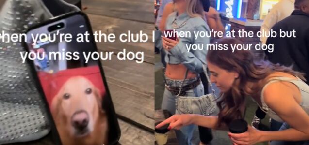 Se fue de viaje a Nashville, extrañó a su perro e hizo una videollamada desde discoteca para verlo