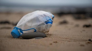 ¿Adiós a la contaminación?: 1 de cada 5 bacterias podrían eliminar el plástico
