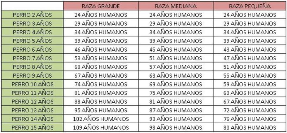 Tabla de edad de perros, según su raza. (Foto: T13)