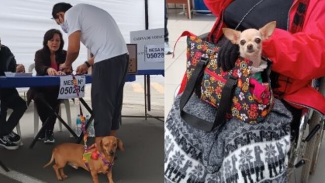 Una jornada electoral donde destacaron votantes con mascotas en los locales de sufragio