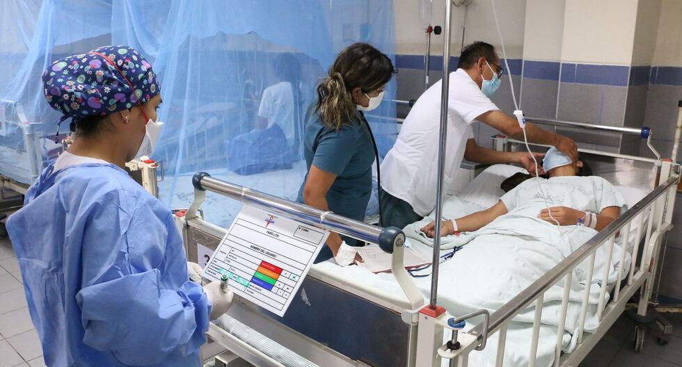 Los casos acumulados de dengue en el Perú a la octava semana epidemiológica son 34.042.