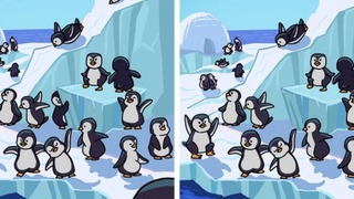 Identifica las 3 diferencias entre las imágenes de pingüinos en 9 segundos