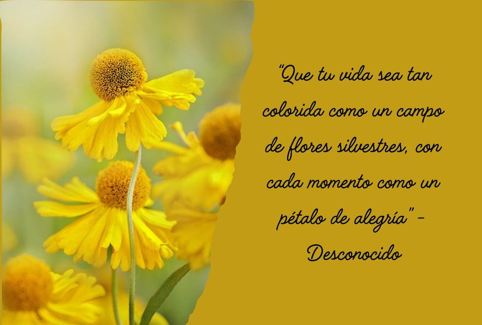 “Que tu vida sea tan colorida como un campo de flores silvestres, con cada momento como un pétalo de alegría” - Desconocido | Foto de Pinterest.