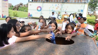 Con dos botellas de plástico: ingresa al  parque ecológico más grande de Lima | FOTOS