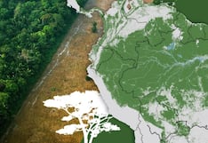 Los gráficos, mapas y fotos que muestran la lenta muerte de la Amazonía y por qué el mundo debería preocuparse