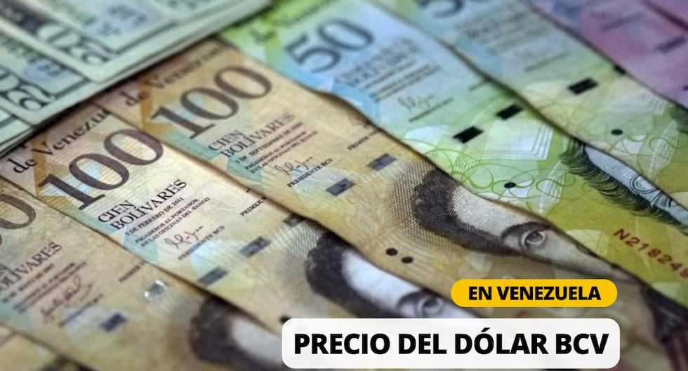 DolarToday y Monitor Dólar HOY, viernes 14 de junio 2024: Cuál es la cotización del dólar en Venezuela  | Foto: Diseño EC