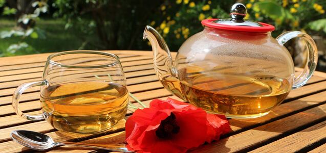 Infusiones en el hogar: cuántas puedo tomar al día