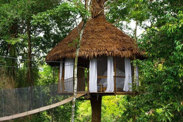(Foto: Treehouse Lodge)