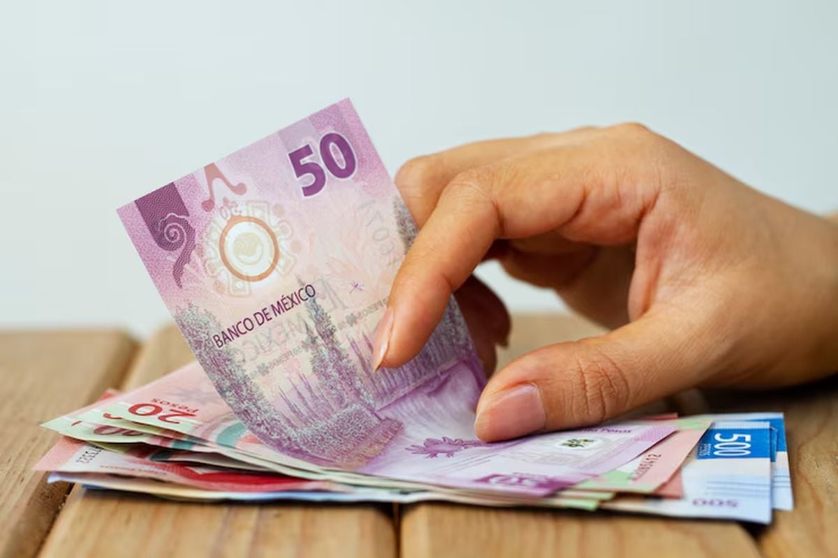 Muchos trabajadores ya cuentan los días para recibir el pago de sus utilidades 2024 en México (Foto: Freepik)