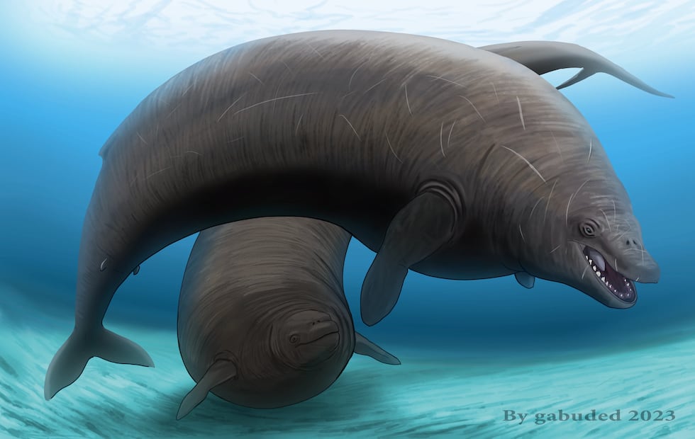 Reconstrucción artística del Perucetus colossus.