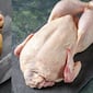 ¿Qué dicen los expertos sobre los pollos de piel amarilla y piel blanca? Estas son las notables diferencias