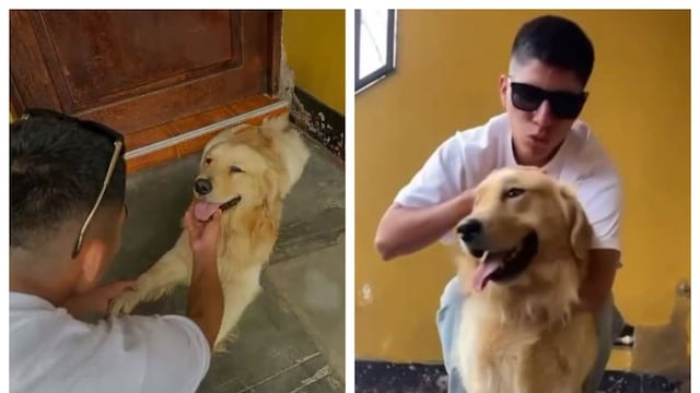 Piero Quispe y el tierno reencuentro con su mascota ‘Drago’ tras volver de México | VIDEO