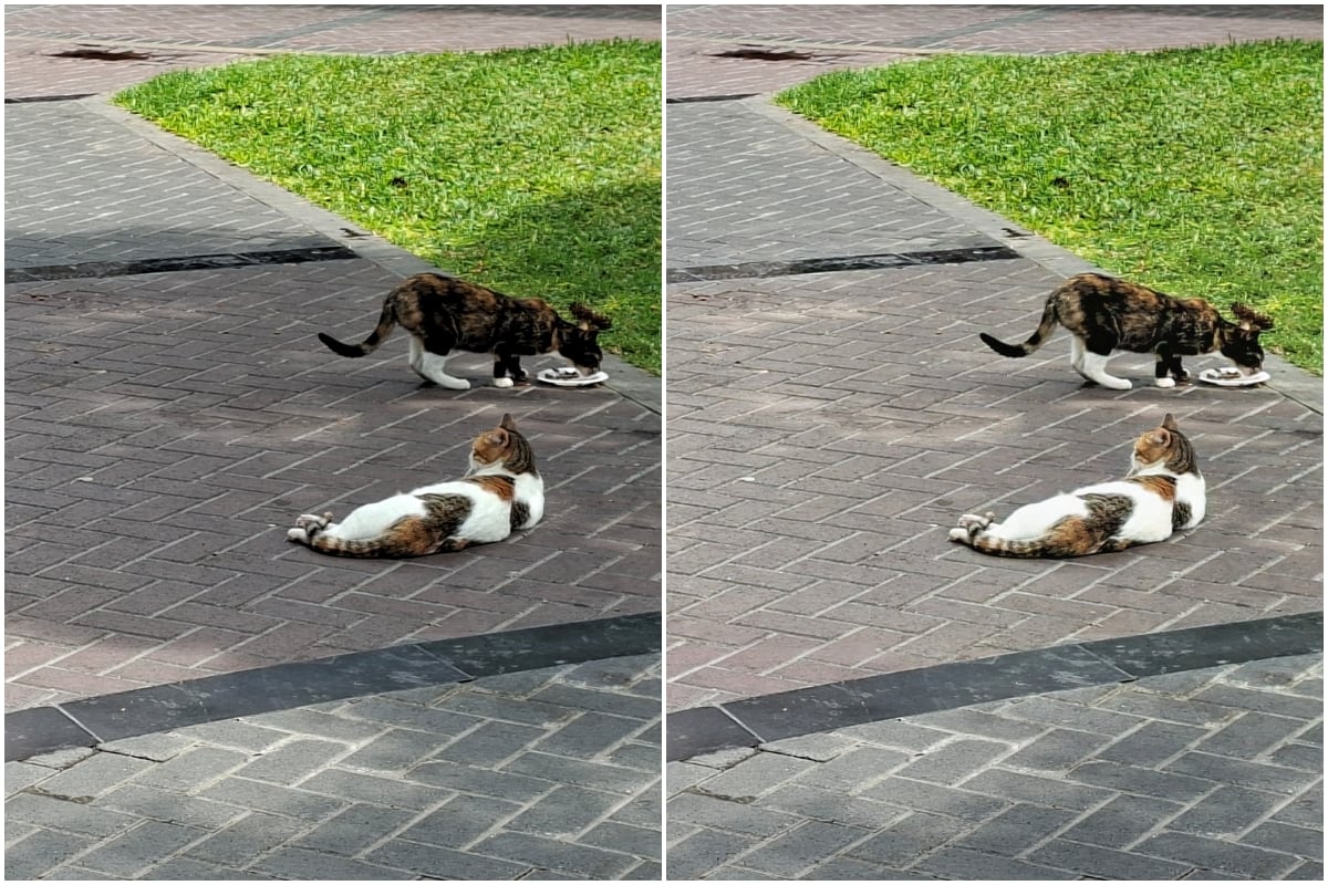 Una imagen optimizada con inteligencia artificial para reducir las sombras (derecha) junto a la original.