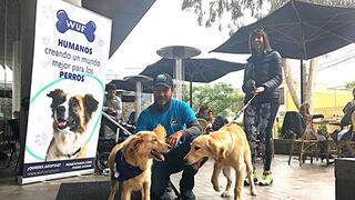 Se siguen abriendo espacios públicos en Lima que acepten mascotas