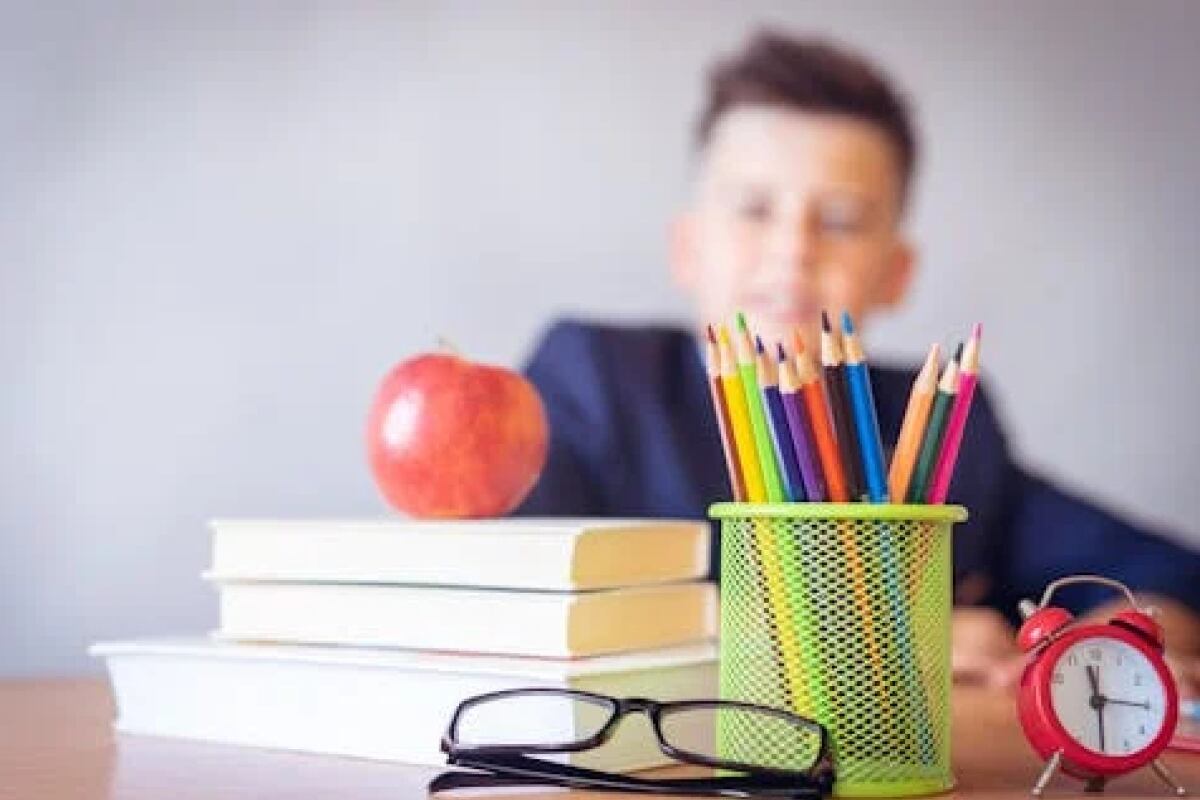 Conoce el horario y las ubicaciones de las ferias de regreso a clases en Chicago (Foto: Pexels)