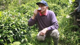 La hora del té peruano: las razones que impulsan a creer que esta bebida será la estrella del invierno