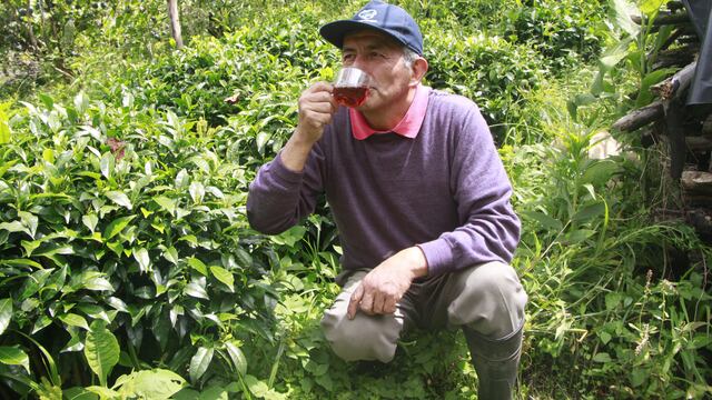 La hora del té peruano: las razones que impulsan a creer que esta bebida será la estrella del invierno