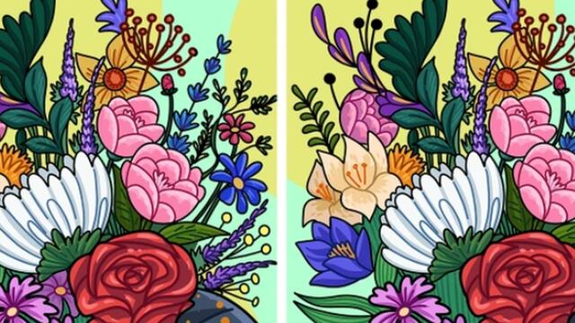 ¿Eres capaz de identificar las 2 diferencias entre las imágenes en 10 segundos?