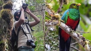 Perú es considerado uno de los destinos ideales para el avistamiento de aves en el mundo