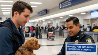 Ingresa con tu mascota a Estados Unidos: requisitos y consejos claves de CBP para evitar problemas en aduanas