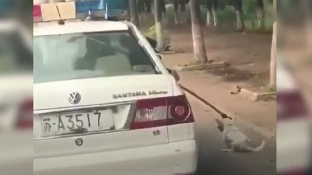 Facebook: auto de policía arrastra a perro por autopista y miles se indignan [VIDEO]