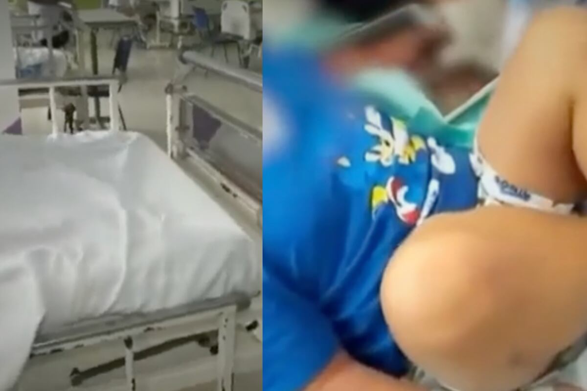 Los médicos evalúan la recuperación del niño, quien fue mordido por la araña el 1 de noviembre. Especialistas piden a padres que prioricen la limpieza en los hogares. Foto: composición EC/captura Buenos Días Perú