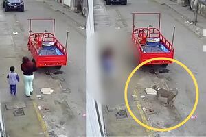 Chimbote: madre e hijo son atacados por un pitbull en la vía pública